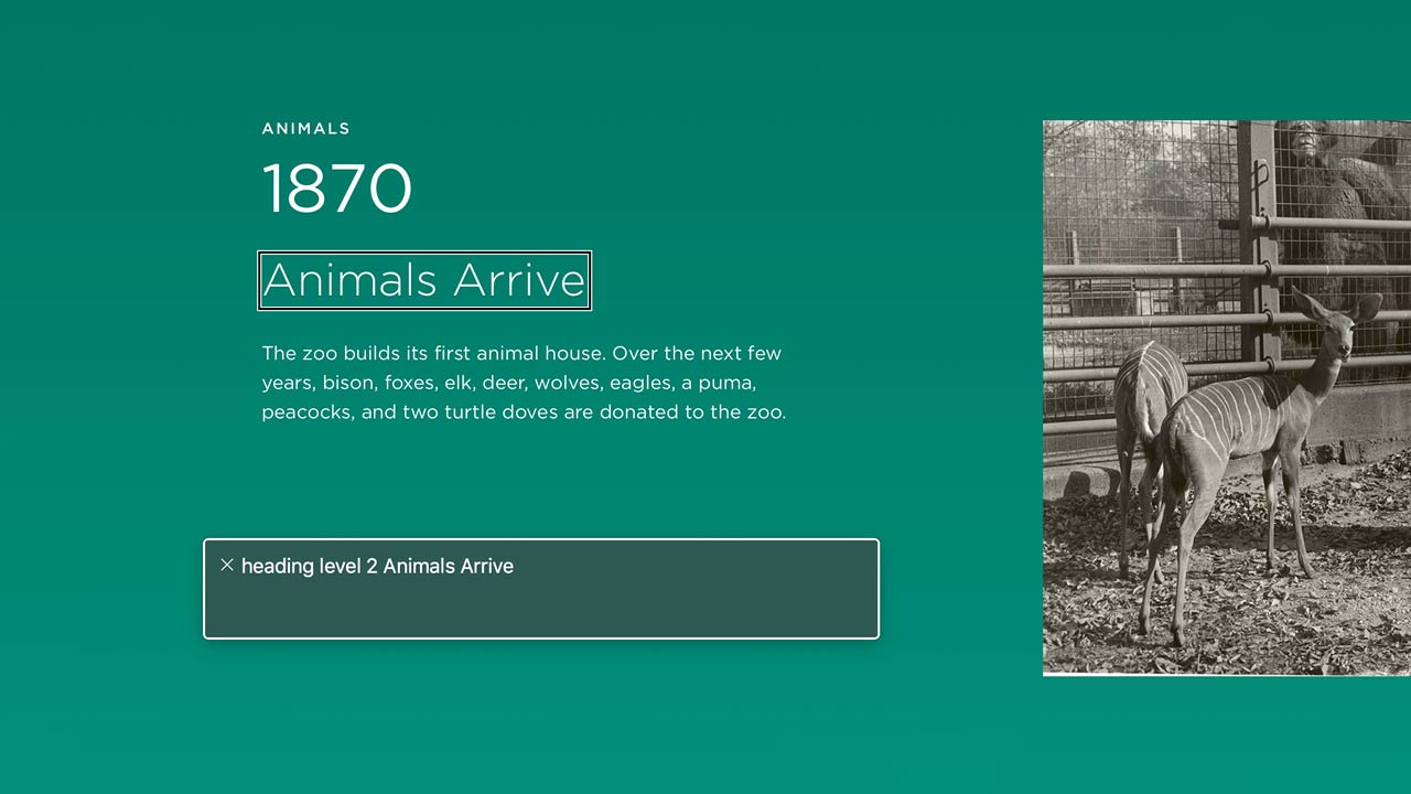 Understanding Document Structure Accessibility tutorial video poster.